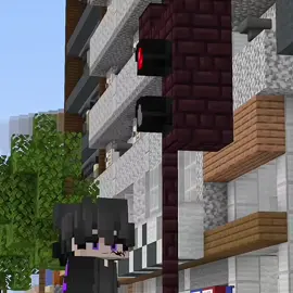 ente kadang kadang#Minecraft 