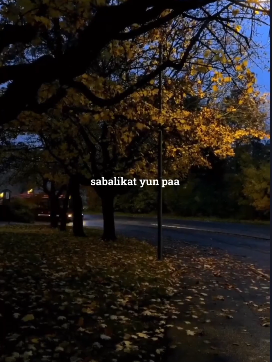 eyes can't lie >> #my. #lyrics  #fyp  #foryou 