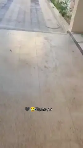 #الشعب_الصيني_ماله_حل😂😂 