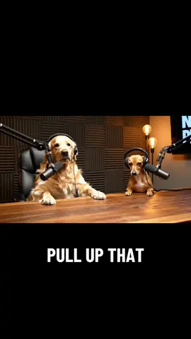 #dog #chase #bike #reverse #pets 