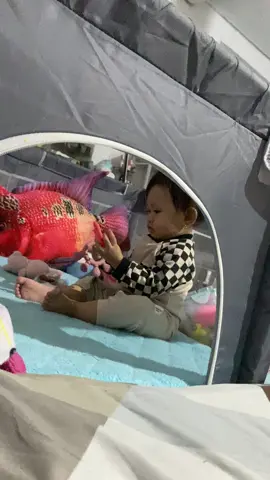 Etika masuk : izin dulu wkwkwkwk