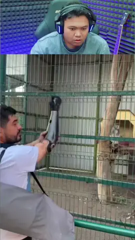 monyet pun heran😭🤣 #yourdudh #meme #fyp #MLBB9TH #MLBB 