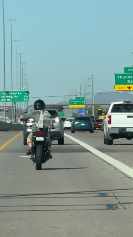 Someone is enjoying their Saturday morning 💗 #fypシ゚viral #2025goals #arizona #tempe #phoenix 