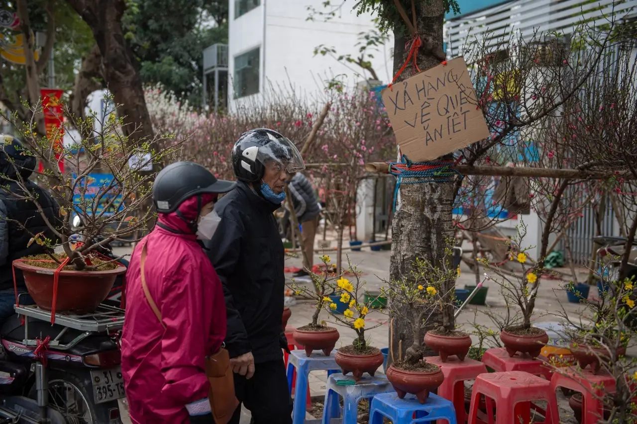 🎉🧧Hôm nay là Chủ Nhật ngày 26/10/2025  Vậy là còn 66 ngày nữa là đến Tết Dương lịch  ( Tết Tây ) 2026🧨🌸🐎 #TikTokAwardsVN #tettay #tetbinhngo2026 #demnguocnammoi #thanhthoiluottet 