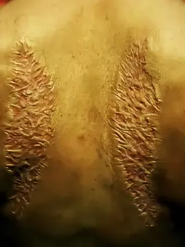 #TikTokFilmTVCompetition #filmbreaker #moviereview #usmovies#fyp