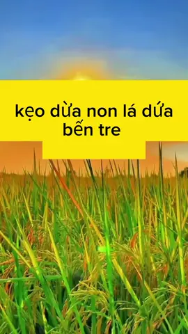 kẹo dừa non lá dứa bến tre #hashtag #xuhuong #xuhuongtiktok #tiepthilienket #keoduanonladua 