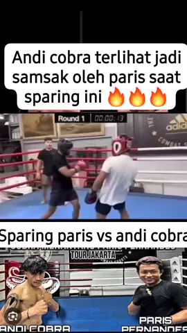 momen Sparing Andi Cobra Vs Paris Pernandes  Andi Cobra jadi samsak Paris...🔥🔥🔥 #andicobra #parispernandes #andicobravsparispernandes #combatsports 