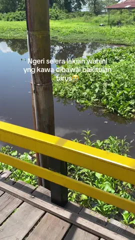 𝙤𝙢𝙖𝙖#katakatabanjarmasin  #storybanjar  #masukberandafyp  #zxycba 