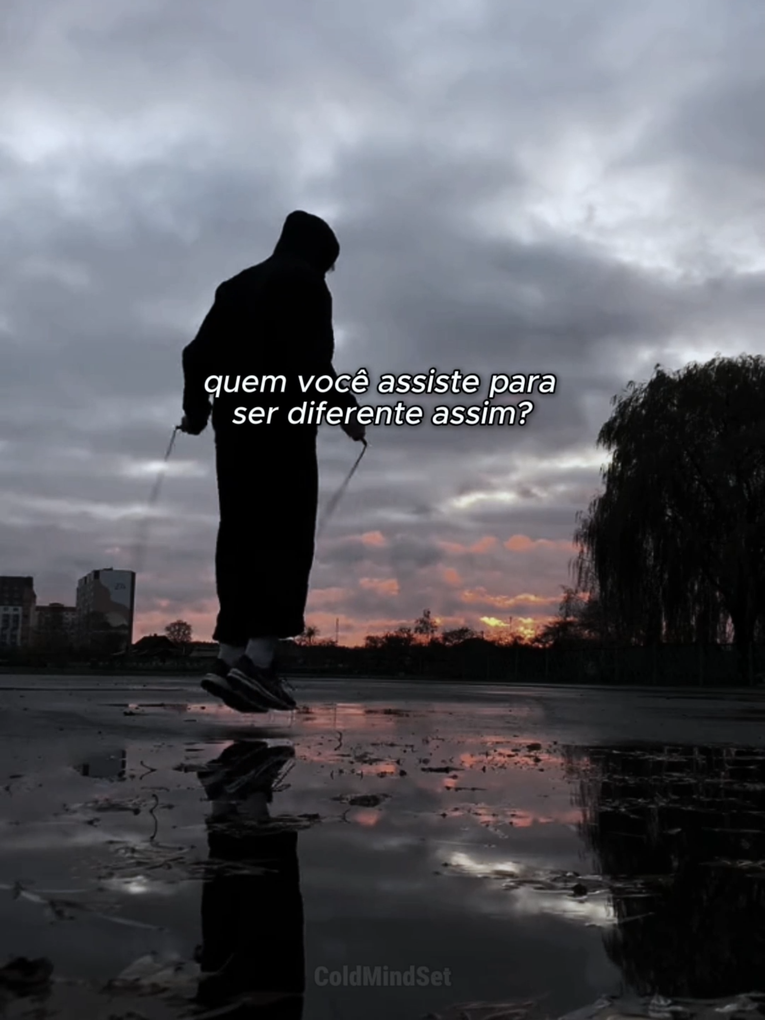 meus mentores 🧠💪🏻 #fealves #luanacarolina #xandao #breier #mentores #motivacao #mindset #disciplina #mentalidade #foco