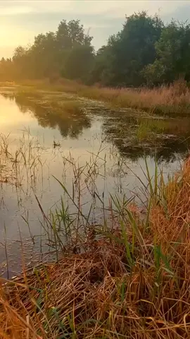 Hãy sống chậm lại, cảm nhận từng phút giây để thấy lòng an yên...#xuhuong #canhdepvietnam #canhdepthiennhien #quêhươngtôi 