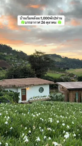 เจอเขาโฮมสเตย์ที่พักบนดอยแม่แตง เชียงใหม่🍀🍀#เจอเขาโฮมสเตย์ #resortchiangmai #hotelchiangmai #清迈酒店 #ချင်းမိုင်၊မဲ့တယ်မြို့ 