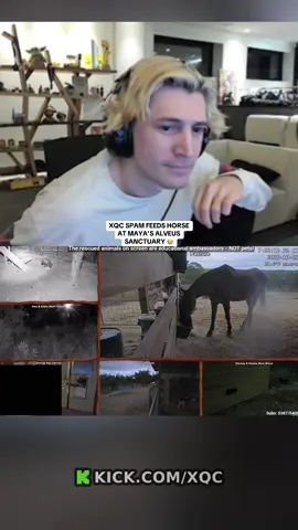 😭 #xqc #maya #alveussanctuary #twitch #fyp