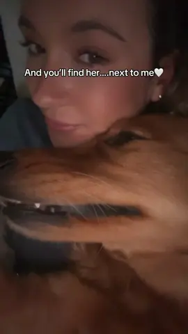 Attached to me❤️‍🩹❤️‍🩹❤️‍🩹 #goldenretriever 