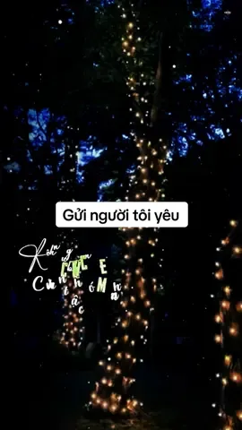 Gửi người tôi yêu #nhachaymoingay #xuhuong2025 #foryou #fyp #nhacbolerobuon2 