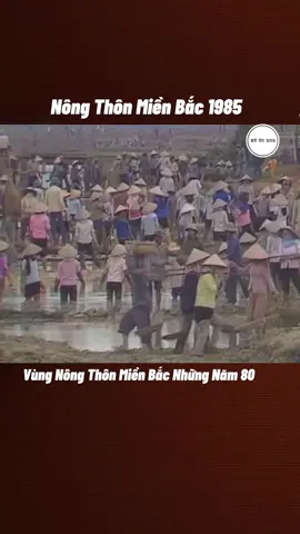 Nông Thôn Miền Bắc 1985.  #nongthonvietnam #nongthonbacbo #Kyucxua #quehuongvietnam #đamcuoixua 