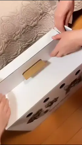 congratulations 🎉  𝐐𝐮𝐚𝐥𝐢𝐭𝐲 🏆✨🧬 •𝐎𝐮𝐭𝐬𝐭𝐚𝐧𝐝𝐢𝐧𝐠 𝐏𝐞𝐝𝐢𝐠𝐫𝐞𝐞✨ •𝐇𝐞𝐚𝐥𝐭𝐡 𝐓𝐞𝐬𝐭𝐞𝐝✨ •𝐒𝐭𝐫𝐮𝐜𝐭𝐮𝐫𝐞,𝐂𝐨𝐚𝐭&𝐂𝐨𝐥𝐨𝐮𝐫✨ •  No To Scammers on TikTok  #poodle #poodlesoftiktok #poodles #poodlepuppy  #poodlepuppies 