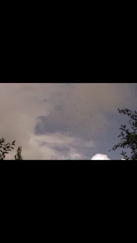 السَفـر حِلالـة،والسَهـر حِلالِـي💔!.