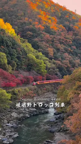 Must-see this year! Autumn foliage from the trolley train 🍁 📍Sagano Romantic Train | Kyoto🇯🇵 🗾Sagano Torocco Train The Sagano Torocco Train, from Arashiyama in Kyoto to Kameoka, is a highly recommended autumn trip, offering views of the valleys and autumn foliage along the line. Below is a summary of highlights, seasons, and access. 📌Highlights 🔴The Sagano Torocco Train travels approximately 7.3 km between Arashiyama (Torocco Saga Station) and Kameoka (Torocco Kameoka Station), taking approximately 25 minutes along the valley. 🔴Approximately 1,000 maples and mountain maples are planted along the line, making it feel like you're 