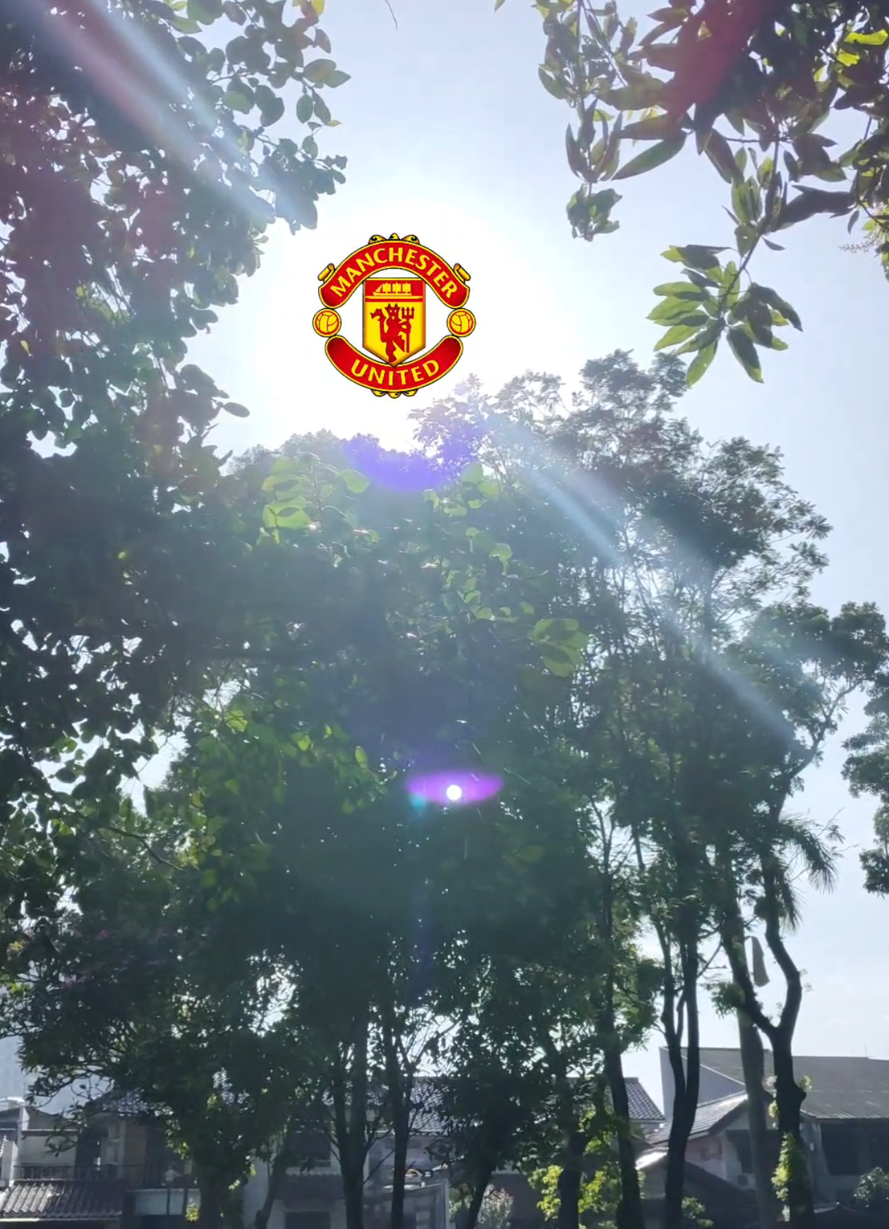 pagi ini cerah sekali ya king #ggmu #manchesterunited #kingemyu #fyp #fypシ 