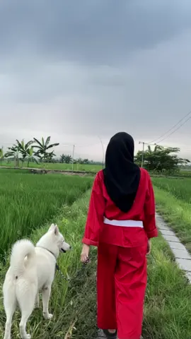 p,adu foto dari belakang🤫#storypagarnusa💚🔱 #srikandipagarnusa #pagarnusa86💚🔱 #fypシ#trending 