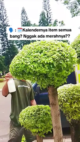 Yang Penting ☕ #fressialandscape #tukangtaman #xyzabc 
