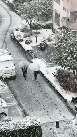 Vibes pulang sekolah+salju 🇯🇵 #fyppppppppppppppppppppppp #kenshuuseijapan🇮🇩🇯🇵 #saljujepang #hokkaido #vibesjepang 