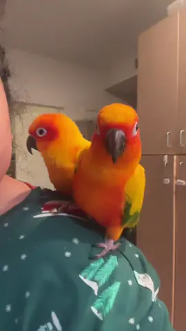 #trend #sunconuresoftiktok #dance #tiktok #fyp 