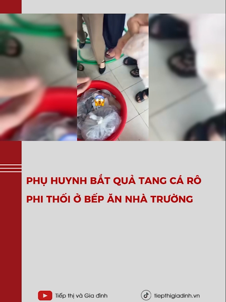 Phụ huynh bắt quả tang cá rô phi thối ở bếp ăn nhà trường cho học sinh #tiktoknews #tiepthigiadinh #LearnOnTikTok #giaoduc #hanoi #bepan