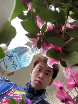 Dậy thoi