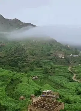 #وليد_صغير_بتامي 