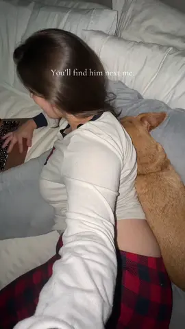 Kinda woke him up, my B 😅. Timon is 1000% a Mamas boy and I love it 💙.  #dogmom #nexttome #dogsoftiktok #doglife #fyp