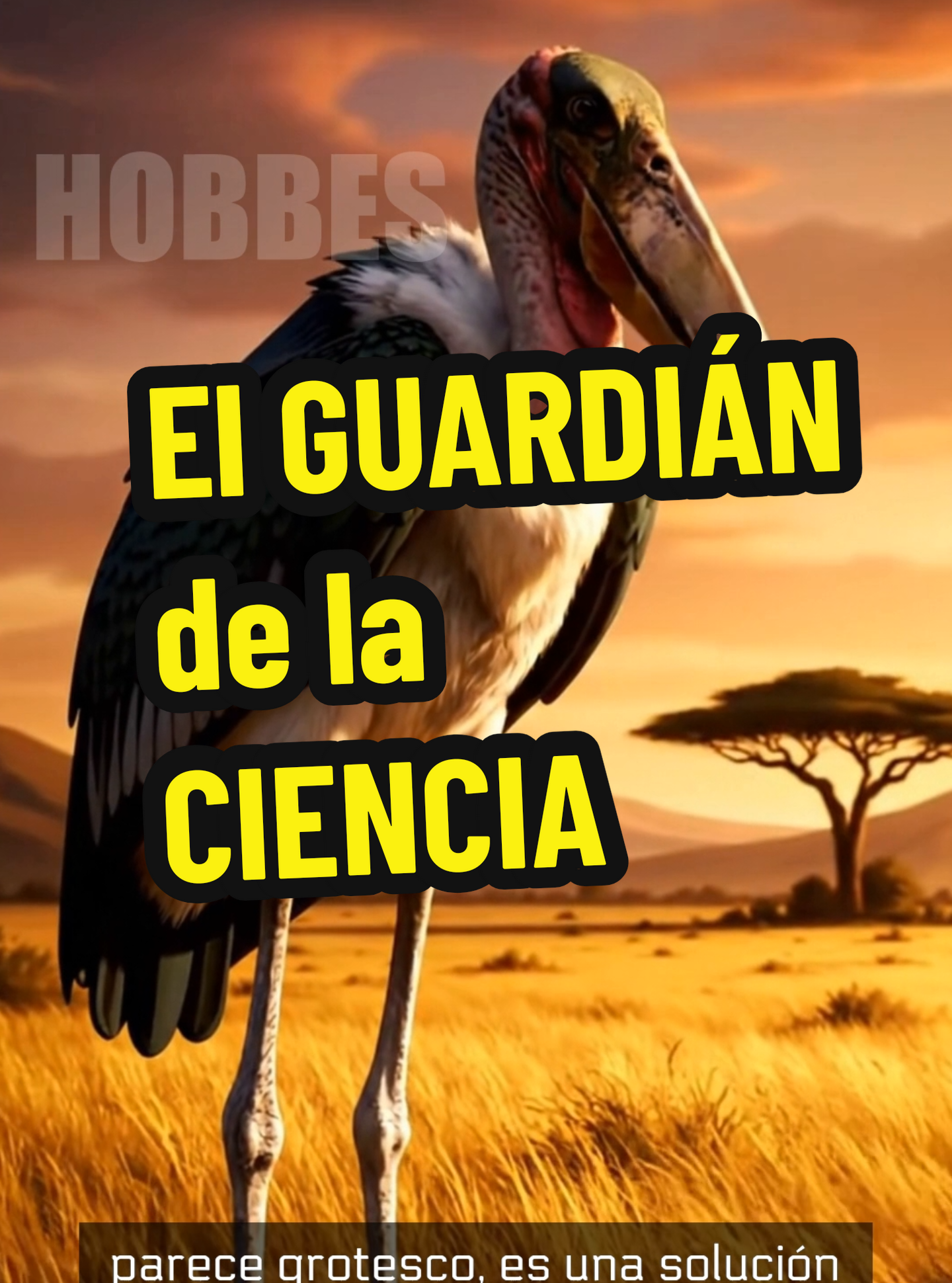 🤢 El guardián de la #Ciencia . ☣️ Su secreto de higiene redefine la #Evolucion . Una #Naturaleza #Increible #marabu 