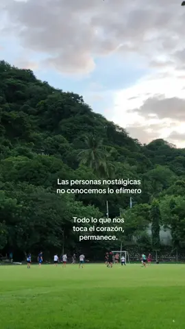 Todo lo que toca el corazón permanece 🫀 #selfhealing #nostalgia #escritos #fyp #viral 