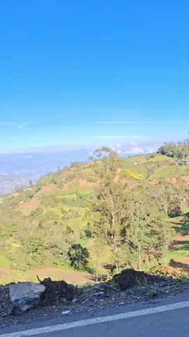 #ElTrovador#DinaPaucar #parati❤️#tiktokviral #CUTERVOCAJAMARCA 