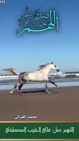 #محمد_الغزالي#صباح_الخير #اذكار_الصباح #اللهم_صلي_على_نبينا_محمد 