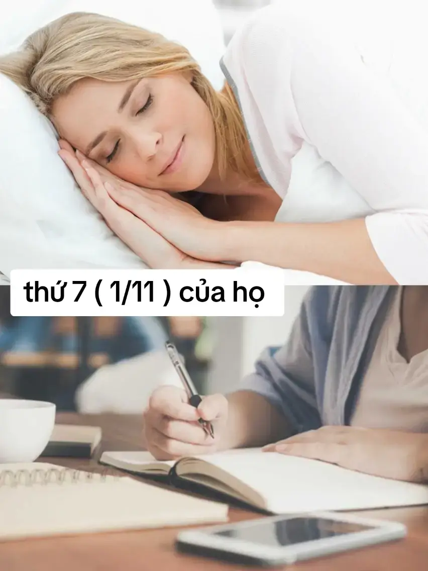 1/11 nha mọi người ~~ #xh #xuhuongtiktok #vrial #dulichvietnam #THPT 
