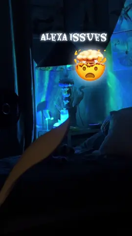 Alexa Issues #alexa #wow #amazon #weird #new