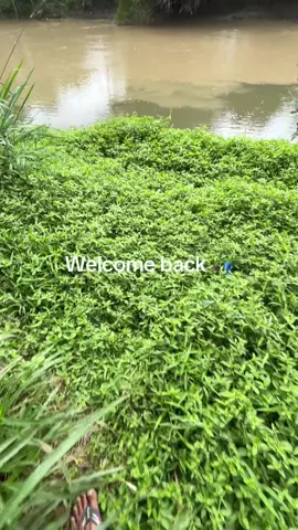 Lama tidak memancing #fyp #mancing #4u #sibolang 