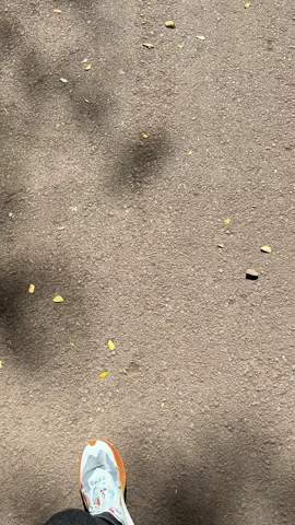 cerah bangett pagi ini💖 #fyp #fypシ #fyppppppppppppppppppppppp #serangbanten 