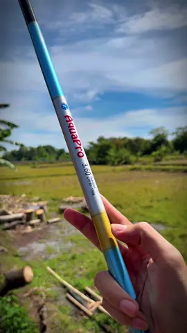Tegek murah warnanya cakep2 #mancing #mancingmania 