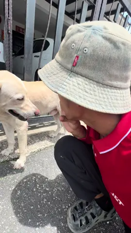 Ceriakan pagi anda dengan lagu 90an #jnttttexpresssssssssssssjhr383