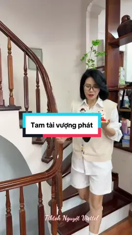 Sét mèo may mắn, ông Thần Tài #nguyetviettel #tiktokshop #xuhuong #trangtrioto 
