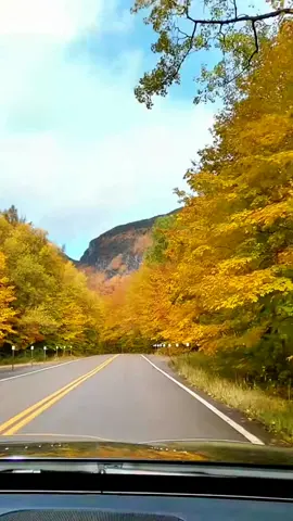 Autumn vibes road trip true nature colors #truenature #autumn #october #leavesfall🍁 #roadtrip 