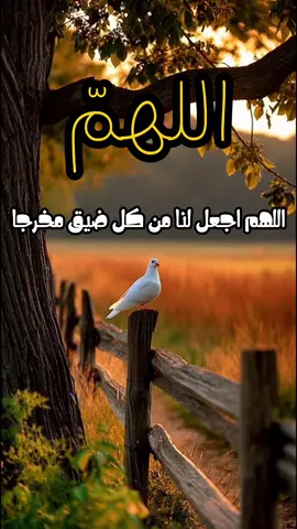 #creatorsearchinsights دعاء الصباح||اللهم اجعل لنا من ضيق مخرجا ومن كل همً فرجاء ومن كل بلاءً عافيه#دعاء #السعوديه #fyp #اكسبلور 