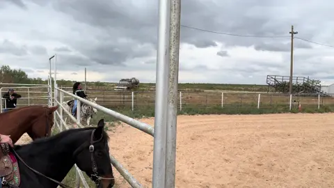 The hair was talked about all day!🤣🤣 #101dalmatians #creulladeville #lucky 