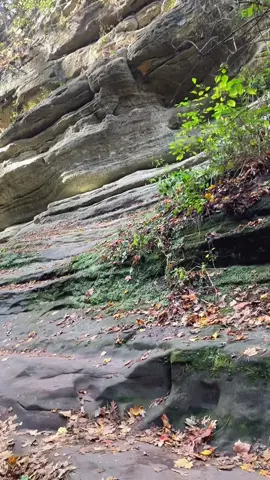 #اللهم_صل_على_نبينا_محمد #الدعاء_المستجاب #القران_الكريم #Starved Rock State Park@Starved rock state park 