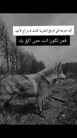 #fyp #f #F #شلفاوة_والحلاوة🔥 #شعب_الصيني_ماله_حل😂😂 
