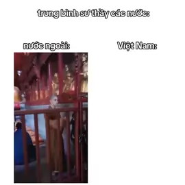 sư ăn vịt lộn? #viralvideo #funny #xuhuong #fyp 