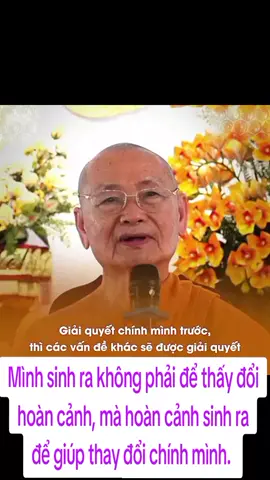 Không phải vấn đề nào cũng giải quyết được.  #phatgiaovietnam  #phatphapnhiemmau  #hoathuongvienminh  #thaydoinguoikhac