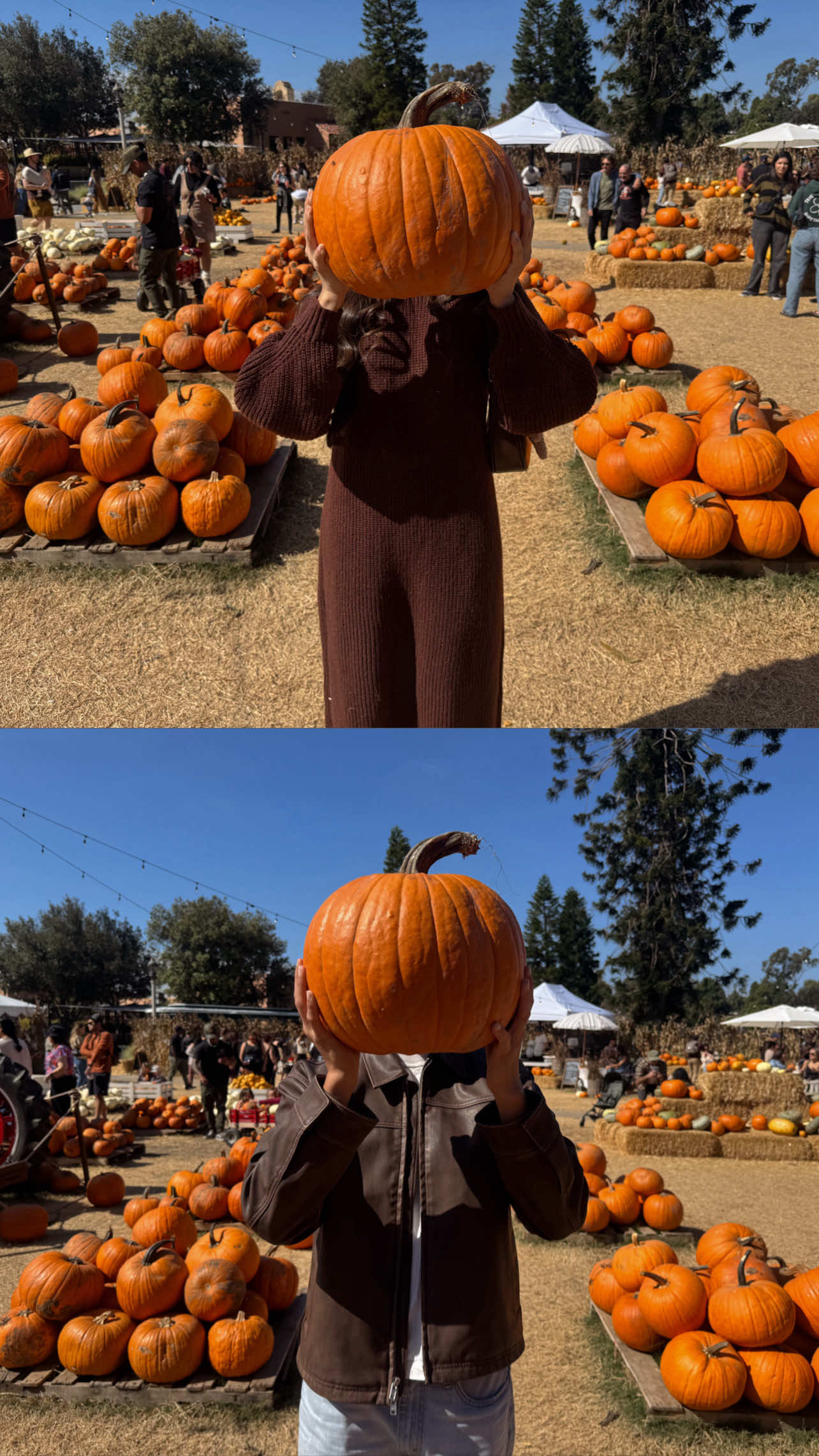 Pumpkin patch dates forever 🍂🧸🕯️🧺 #fyp #pumpkinpatch #couple #dateideas #fallaesthetic 